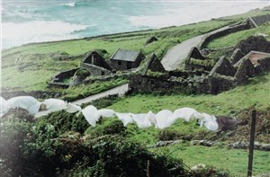 Image description is not available for 2013.042